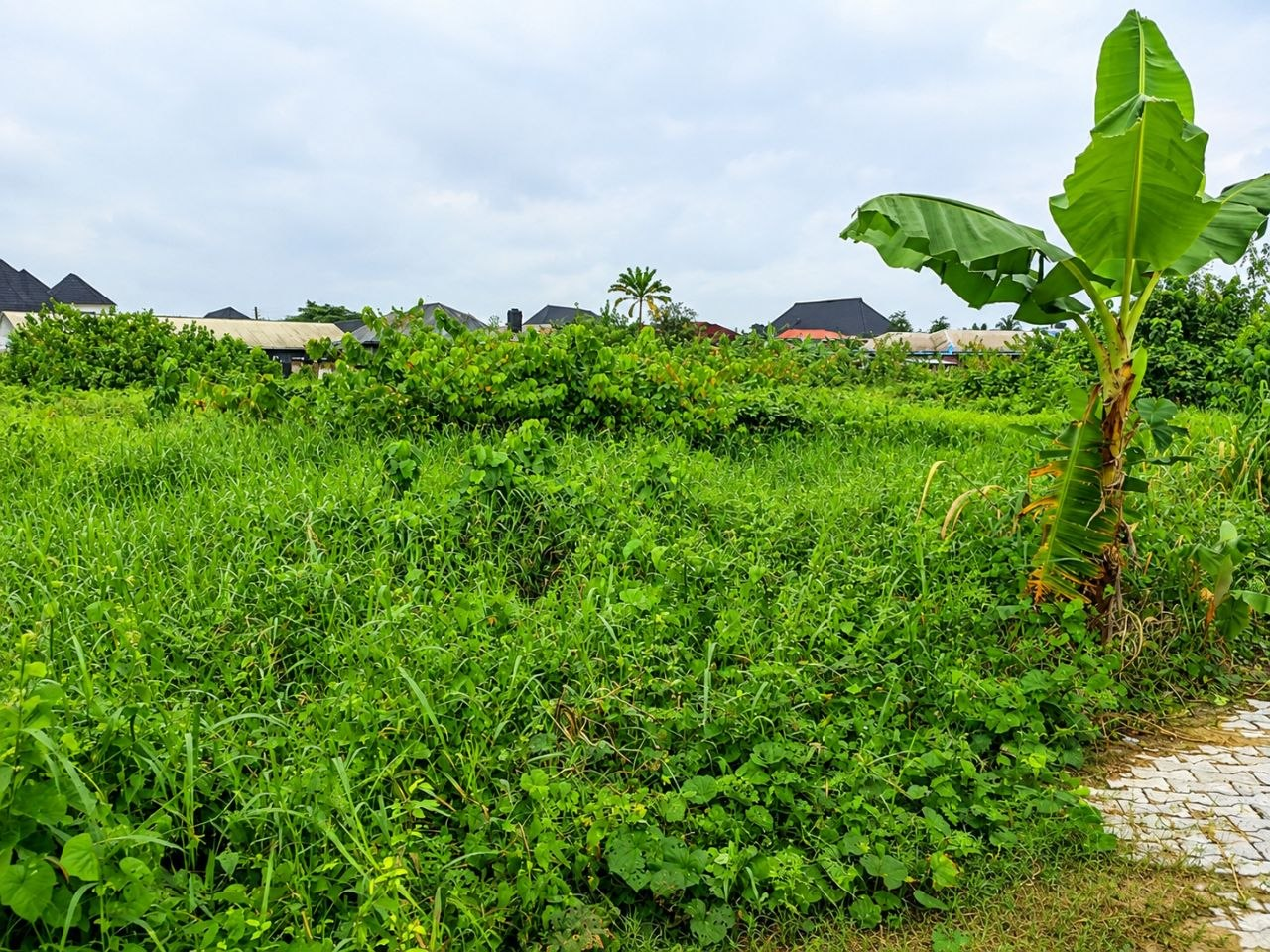 Residential Land Plot